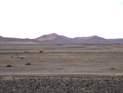 Desert Plains